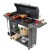 Гриль-мангал Professional Standart BBQ